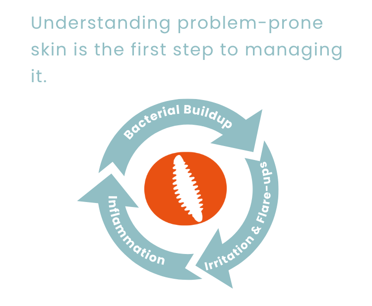 understanding skin